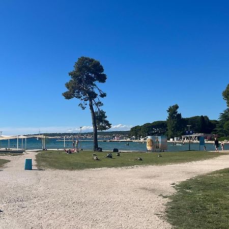 Studio Apartments With Terrace Near Sea - Angela'S Apartments Zadar Zewnętrze zdjęcie